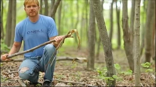All Primitive Bow-Drill Fire (Start to Finish-no modern materials)