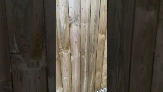 DO NOT WAIT!!! Get your Fence Professionally Stained ASAP!