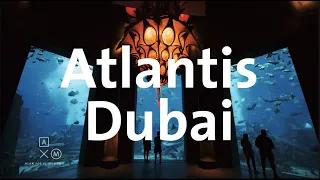 Hoteles espectaculares | ATLANTIS THE PALM DUBAI | Alan por el mundo