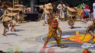 Danza Tradicional de Tecuanes de Izúcar de Matamoros, Puebla