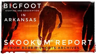 BIGFOOT sighting in ARKANSAS! And detailed description of the BIGFOOT!