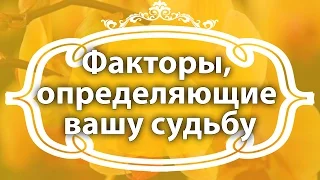 Екатерина Андреева. Какая жизнь вас ждет. Факторы, определяющие вашу судьбу