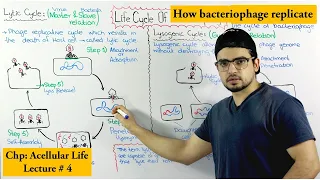 Life Cycle of Bacteriophage | Lytic and lysogenic cycle|