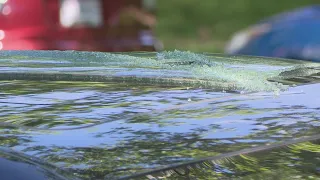 2 dozen car windows smashed, burglarized in South St. Louis