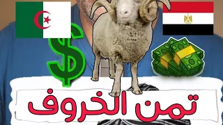 شاهد اتمنه الاضاحي ( الخروف ) في الدول العربية #مصر #المغرب #تونس #الجزائر #السودان #موريتانيا