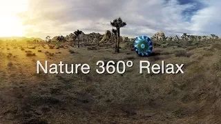 VR video 360 Nature High Desert - Virtual 5K Nature Meditation for Oculus Go, Quest
