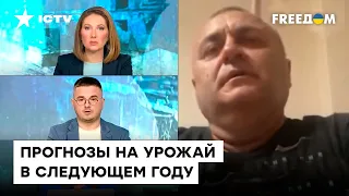 Что с ценами на зерновые - существенно ли снизились? Флоря рассказал, каким будет урожай в 2022 году