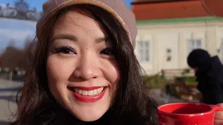 【Vlog】Christmas Market in Vienna