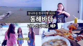 한국 바다 왜 이래요? 바닷속 신기한 녀석의 정체, 큰이모 온 날