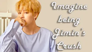 Imagine BTS Jimin has a crush on you Pt. 1 - Can we talk?