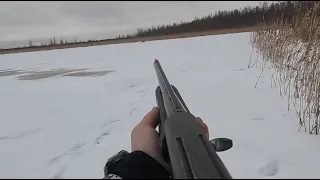 Ketunmetsästystä / Foxhunting 51