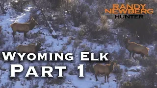 2018 Wyoming Late Season Elk Hunt with Randy and Matthew Newberg (Part 1)