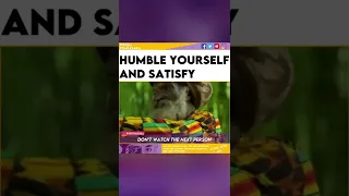 Rastafari elder - Humble yourself