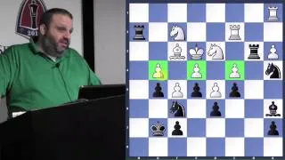 Advanced Game Analysis - GM Ben Finegold - 2014.01.29