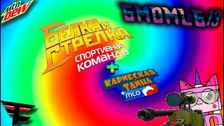 Белка и Стрелка Спротивная команда и Карибская тайна MLG