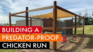 Building a predator-proof chicken coop run