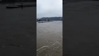 Hochwasser Koblenz Mosel 2021