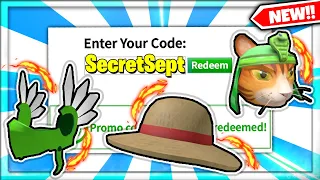 3 NEW *SECRET* Roblox Promo Codes on ROBLOX SEPTEMBER 2021! All New Working Roblox Promo Codes!