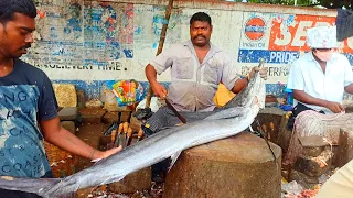 30 KG Massive KOLA Fish Cutting & Chopping Kasimedu Fish Market | ₹3500/ - $45 |Fastest Fish Cutting
