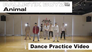 【Dance Practice Video】「Animal」 / BALLISTIK BOYZ from EXILE TRIBE