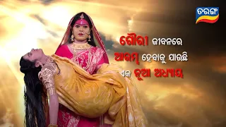 Gouri | Odia Mega Serial | Generic Promo | Tarang TV | Tarang Plus