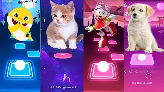 Baby Shark  vs Cat  vs Amy vs Dog - Tiles Hop EDM Rush