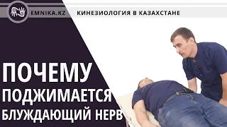 Почему мозг поджимает блуждающий нерв? Кто виноват?