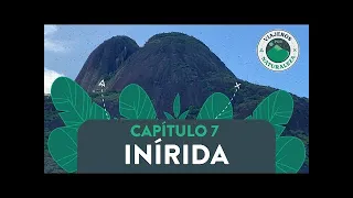 Travelers by nature: Inírida - Caracol Televisión