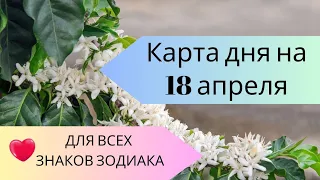 Карта дня на 18 апреля. Таро прогноз для всех знаков зодиака. События дня. Тайм-код.