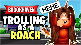Trolling as a ROACH 🤣 in Roblox BROOKHAVEN! *hilarious*