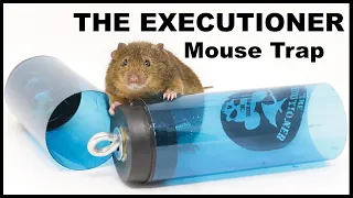 The EXECUTIONER - DEAD MOUSE INC. Mouse trap. Mousetrap Monday