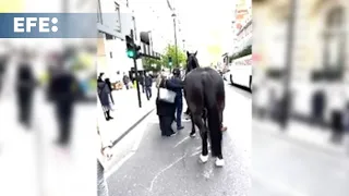 Varios caballos del Ejército siembran el caos en Londres y hieren a cuatro personas