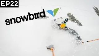 Skiing at SNOWBIRD in DEEP POWDER!!