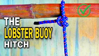 Lobster Buoy Hitch | How To Tie Lobster Buoy Hitch | MHK Satisfying DIY #shorts #knots #diy