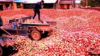 A MAIOR FAZENDA DE FRUTAS DO MUNDO QUE FICA NO BRASIL