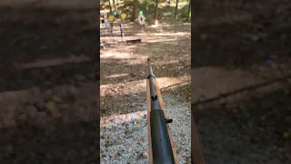 The fastest Ruger 10/22 in the world.