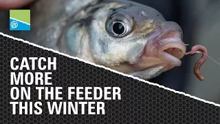 HOW TO Catch More on the Feeder this winter!