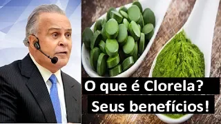 Chlorella ou Clorela e SPIRULINA, o que é e quais os seus benefícios para saúde | Dr Lair Ribeiro