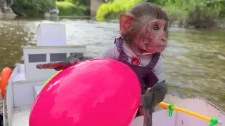 Monkey Baby Bon Bon pretend to be a cashier in a supermarket and eats watermelon by Abdual Rafay