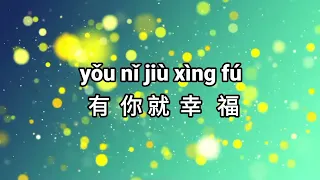 You Ni Jiu Xing Fu  (blessed to have you) - Karaoke/Minus one/instrument