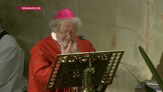 Predigt von Weihbischof Rolf Steinhäuser am 23.01.2023 über Nikolaus Groß