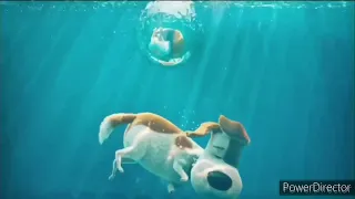 the secret life of pets: max underwater commercial beating