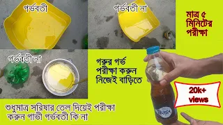 সরিষার তেল দিয়ে নিজেই বাড়িতে যেভাবে গরু গাভীন কি  তা পরীক্ষা করবেন মাত্র কয়েক মিনিটে(১০০% কার্যকর)