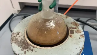 Steam Distillation of Cloves