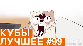 Best Coubs | Кубы лучшее #99