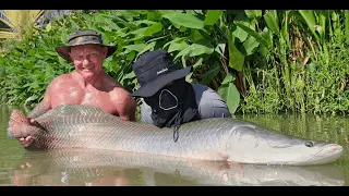 Another Arapaima first at Jurassic Mountain Fishery.