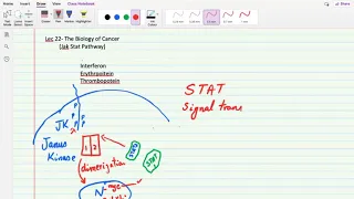 Lec 22: The Biology of Cancer (Jak STAT Pathway-Introduction)