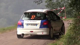 Peugeot 206 Gr.A rally racing - Show, handbrake, crazy driving & on board