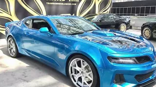 NEVER BOLD ENOUGH!! - 2017 Trans Am 455 Super Duty