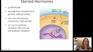 Lecture13 Endocrine Part1